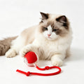 Smart Interactive Pet Play Ball - Automatic Rolling Fun