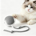 Electric Interactive Pet Ball Toy for Dogs & Cats | Indoor Fun